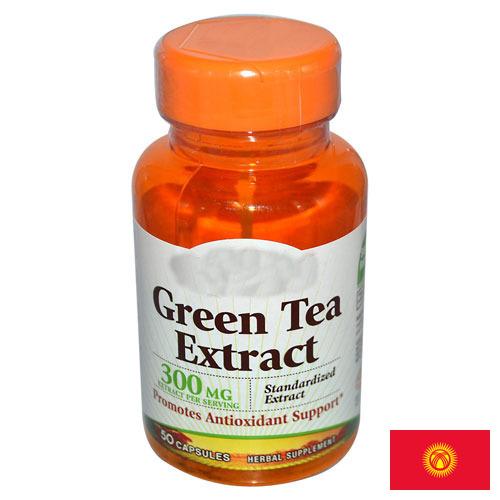 экстракт зеленого чая из Киргизии