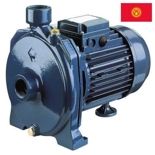 электронасос из Киргизии