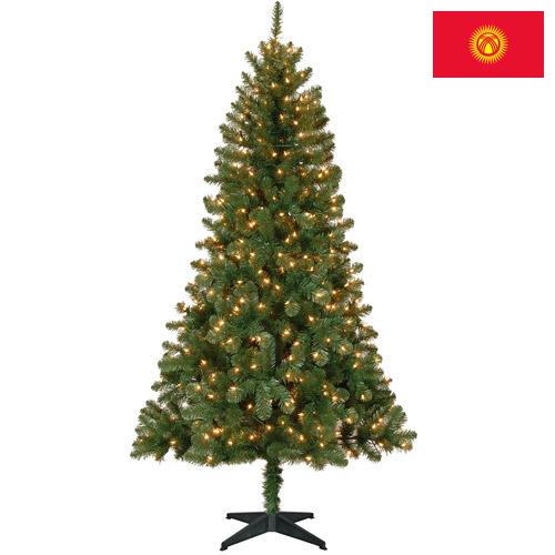 Елки новогодние из Киргизии