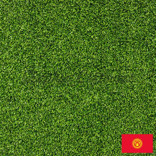 газон искусственный из Киргизии