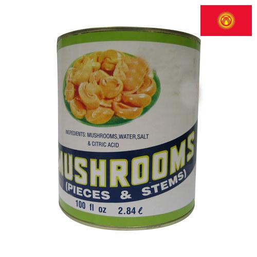 Грибы консервированные из Киргизии