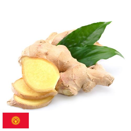 Имбирь из Киргизии