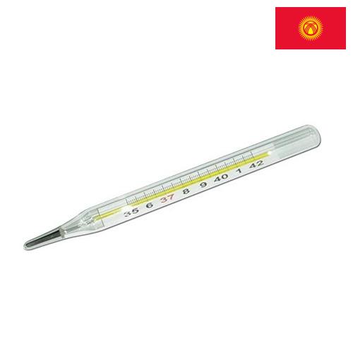 Измеритель температуры из Киргизии