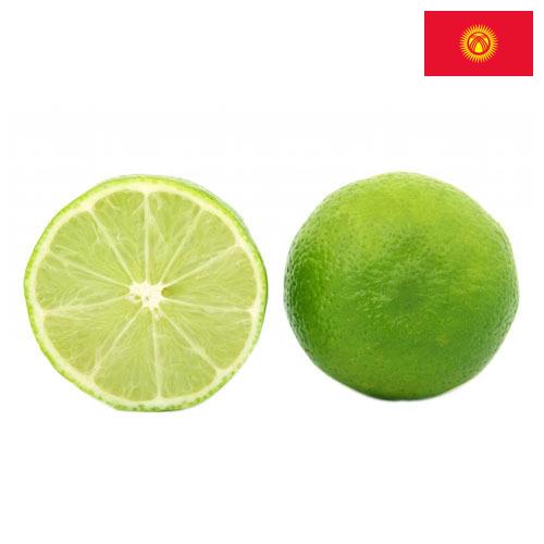 Известь из Киргизии