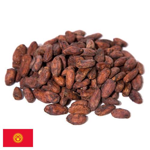 какао-бобы из Киргизии