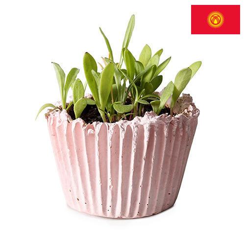 Кашпо из Киргизии