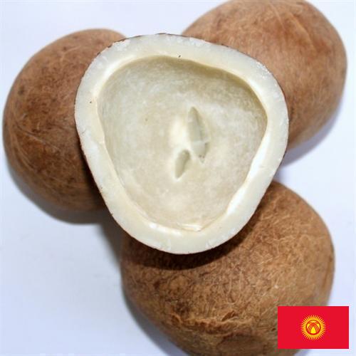 Кокос сушеный из Киргизии