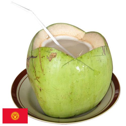 кокосовая вода из Киргизии