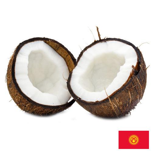 Кокосы из Киргизии