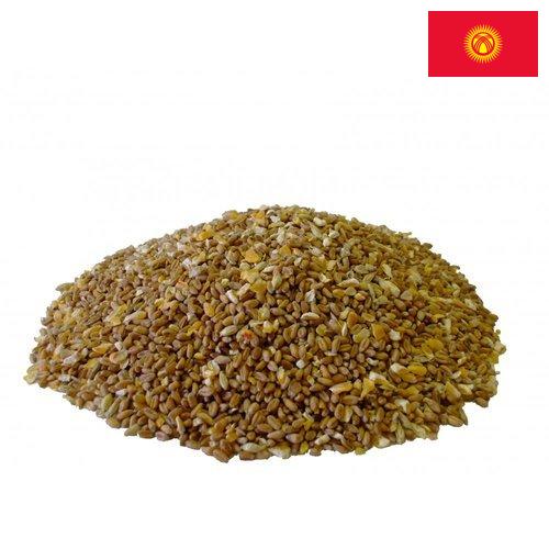 Корма для птицеводства из Киргизии