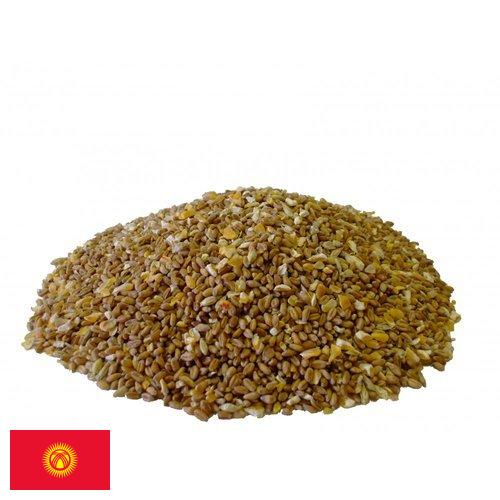 Корма для птицы из Киргизии