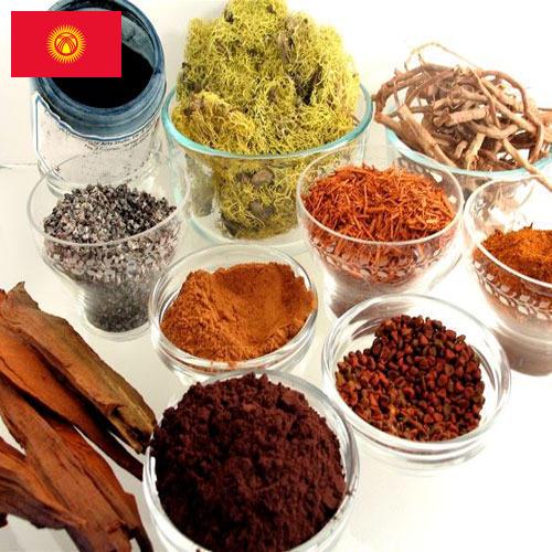 Красители натуральные из Киргизии