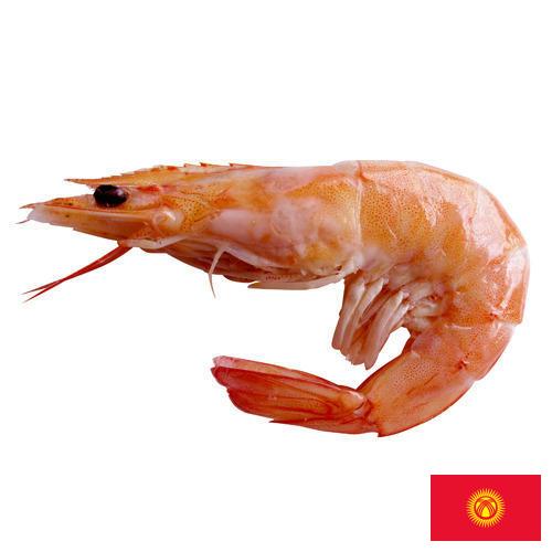 Креветки из Киргизии