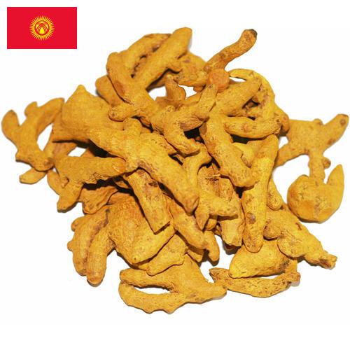Куркума из Киргизии