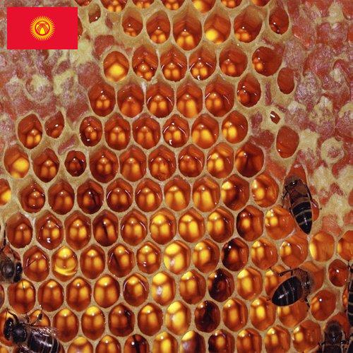 мед оборудование из Киргизии