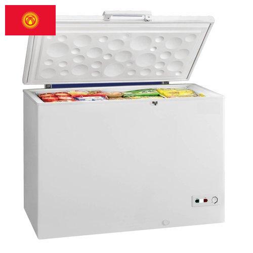 Морозильные камеры из Киргизии