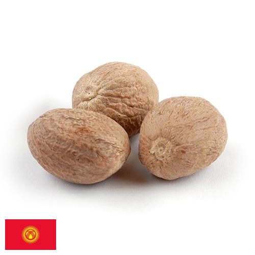 Мускатный орех из Киргизии