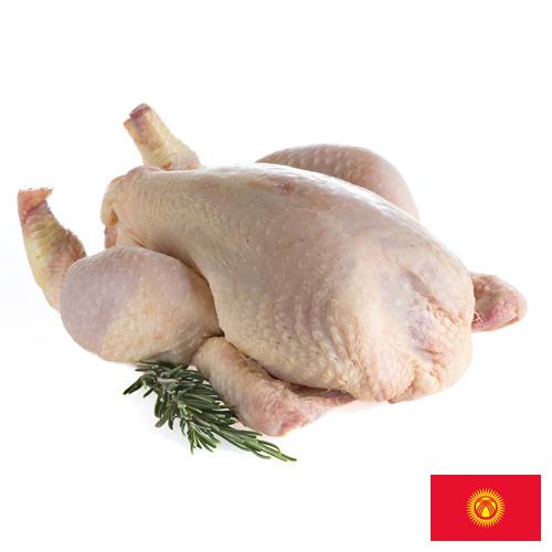мясо птицы тушка из Киргизии