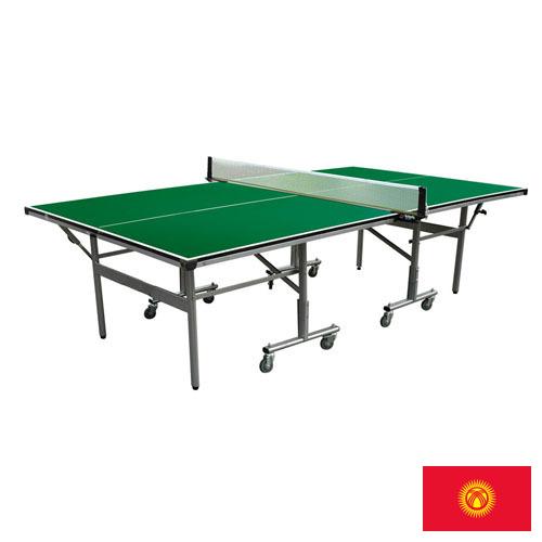 Настольный теннис из Киргизии