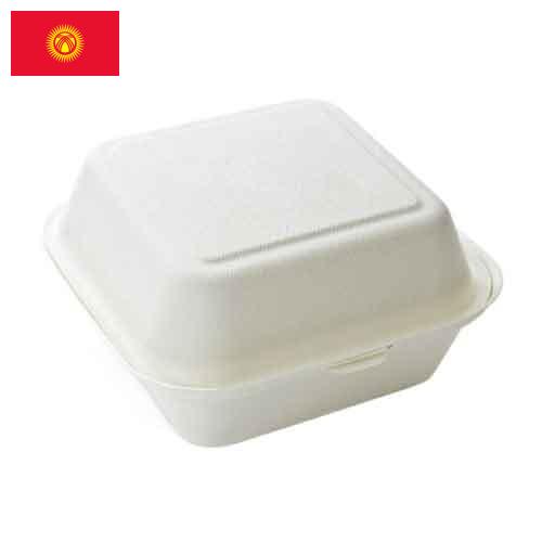 Одноразовые контейнеры из Киргизии