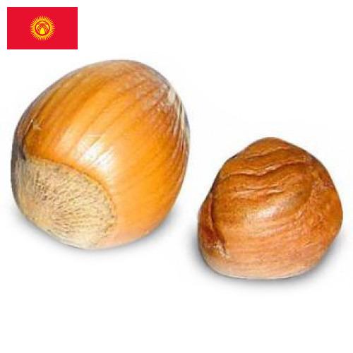 орех фундук из Киргизии