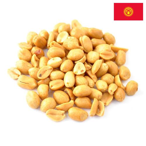 орехи соленые из Киргизии