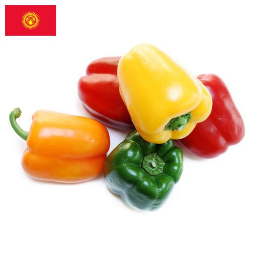 перец болгарский свежий из Киргизии
