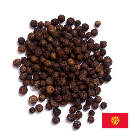 Перец душистый из Киргизии
