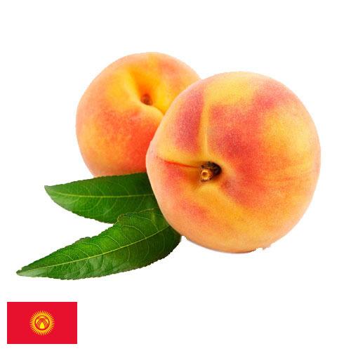 Персики из Киргизии