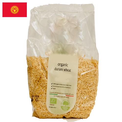 пшеница твердая из Киргизии