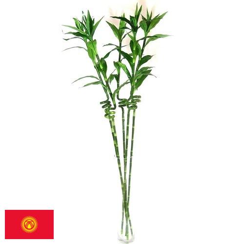 Растения искусственные из Киргизии
