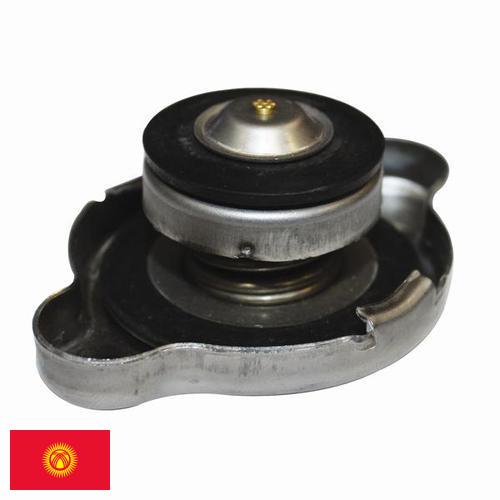 Решетка радиатора из Киргизии