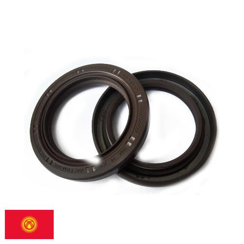 Сальник коленвала из Киргизии