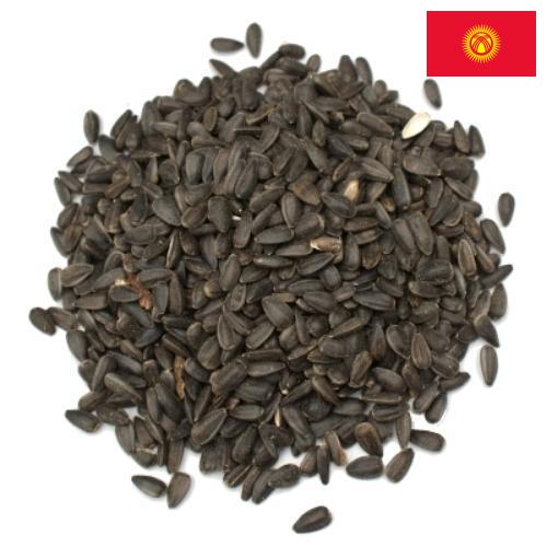 Семена цветов из Киргизии