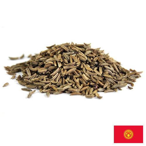 Семена фенхеля из Киргизии