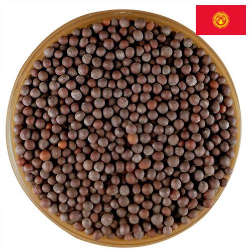 семена горчица из Киргизии