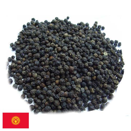 Семена перца из Киргизии