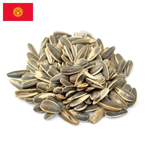 Семена подсолнечника из Киргизии