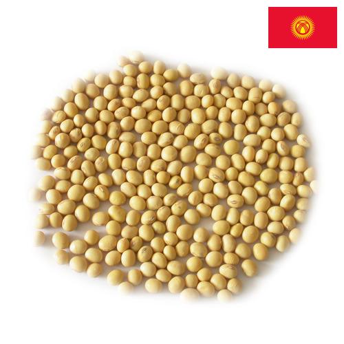 Семена сои из Киргизии