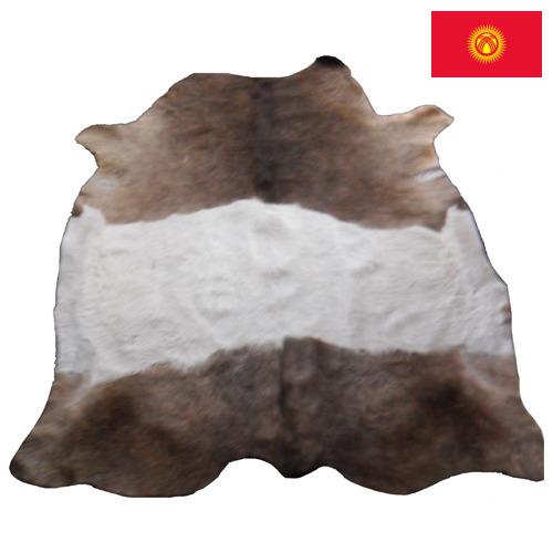 Шкуры крупного рогатого скота из Киргизии