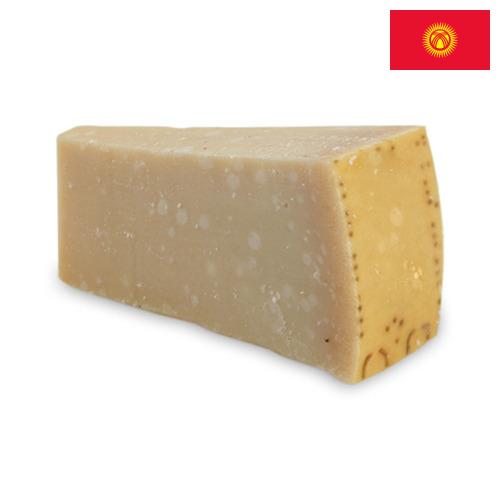 сыр пармезан из Киргизии