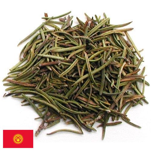 Травы сушеные из Киргизии