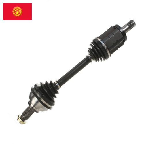 Вал оси из Киргизии