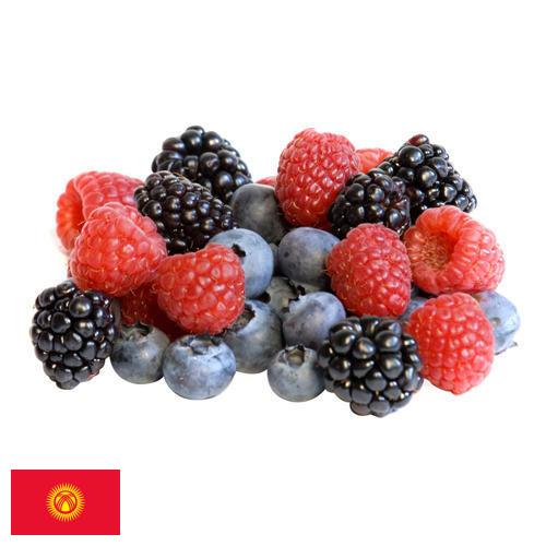 Ягоды замороженные из Киргизии