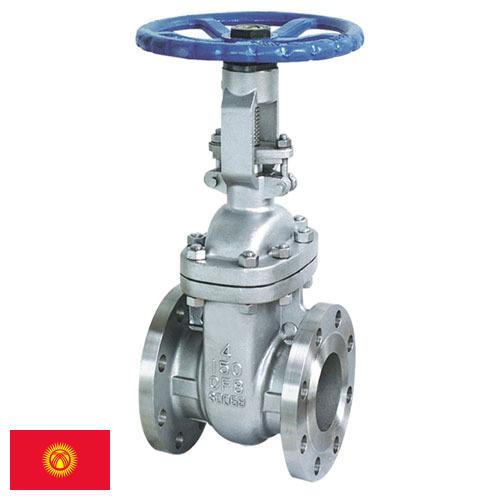 Задвижки из Киргизии