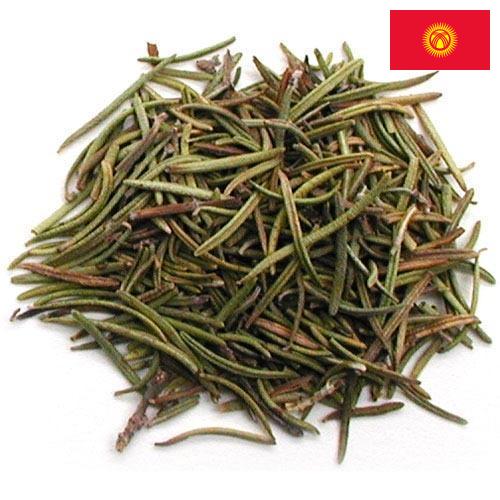 зелень сушеная из Киргизии