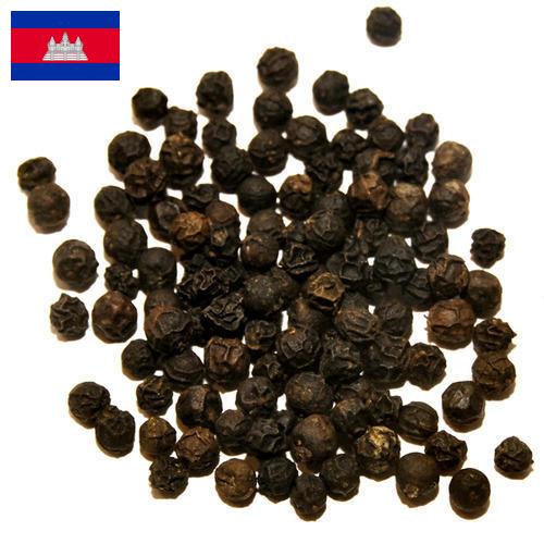 перец черный из Камбоджи