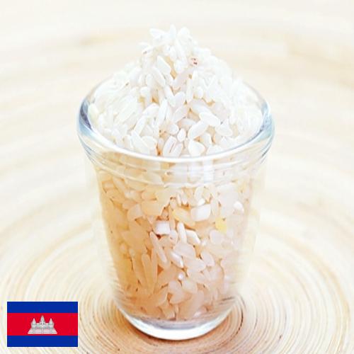 рис шлифованный из Камбоджи
