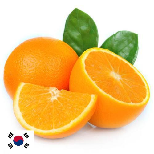 апельсины свежие из Кореи, Республики