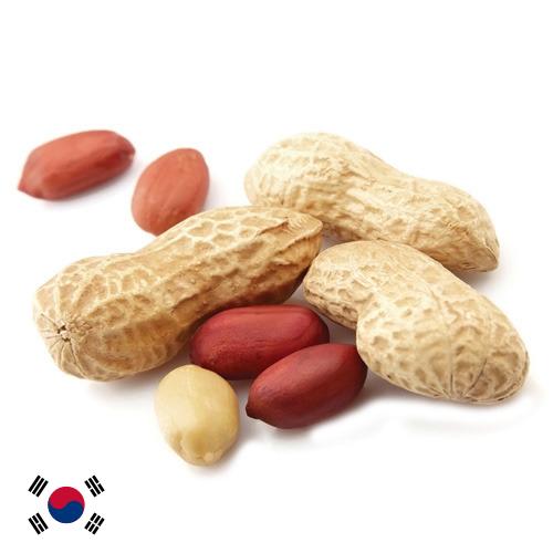 Арахис из Кореи, Республики